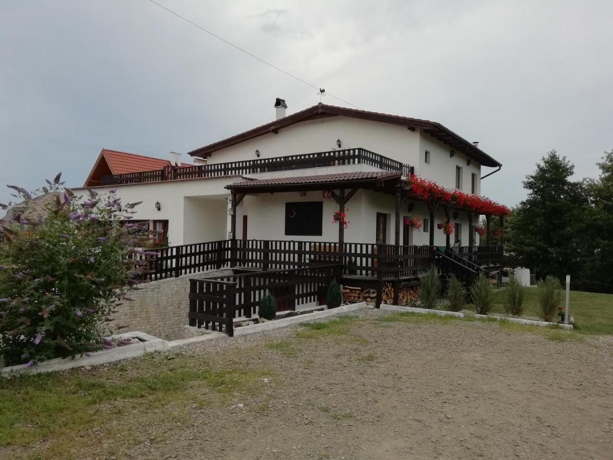 Дома для отпуска Pensiune restaurant SAHSTE Sălicea-19